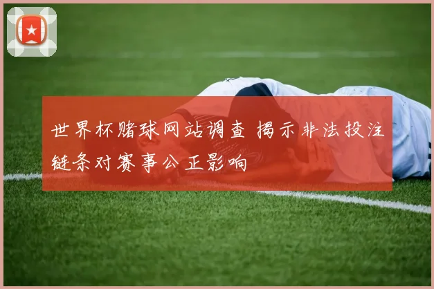 世界杯赌球网站调查 揭示非法投注链条对赛事公正影响