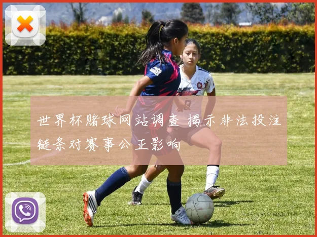 世界杯赌球网站调查 揭示非法投注链条对赛事公正影响