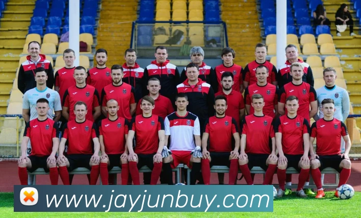 奇异果工作室官网服务体系